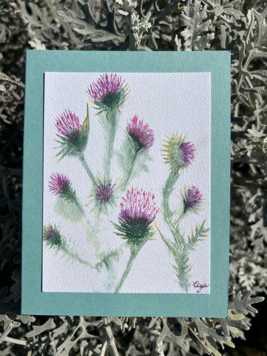 Cobwebby Thistle- 1 card