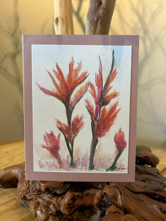 Indian Paintbrush- 1 card